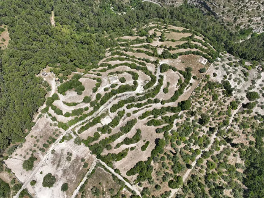 Immagine 7 di Terreno in vendita  in Provinciale 79 a Modica