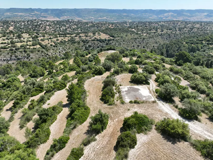 Immagine 8 di Terreno in vendita  in Provinciale 79 a Modica