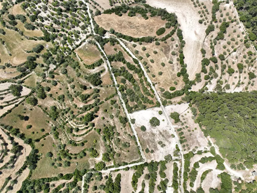 Immagine 9 di Terreno in vendita  in Provinciale 79 a Modica
