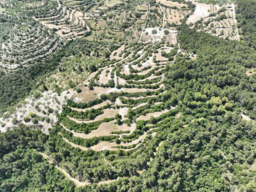 Immagine 10 di Terreno in vendita  in Provinciale 79 a Modica