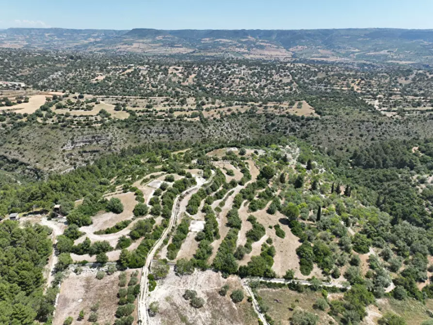 Immagine 11 di Terreno in vendita  in Provinciale 79 a Modica