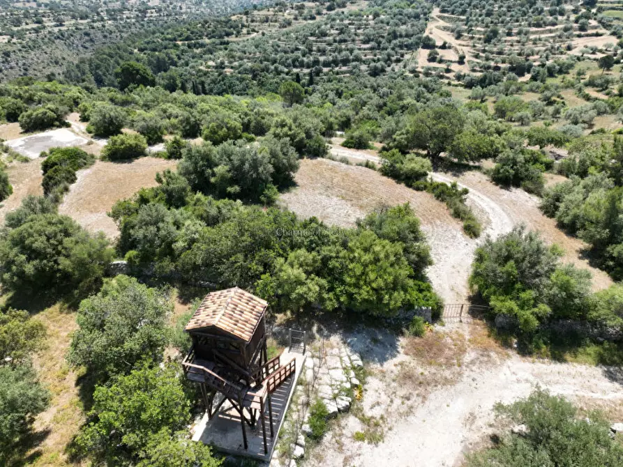 Immagine 14 di Terreno in vendita  in Provinciale 79 a Modica