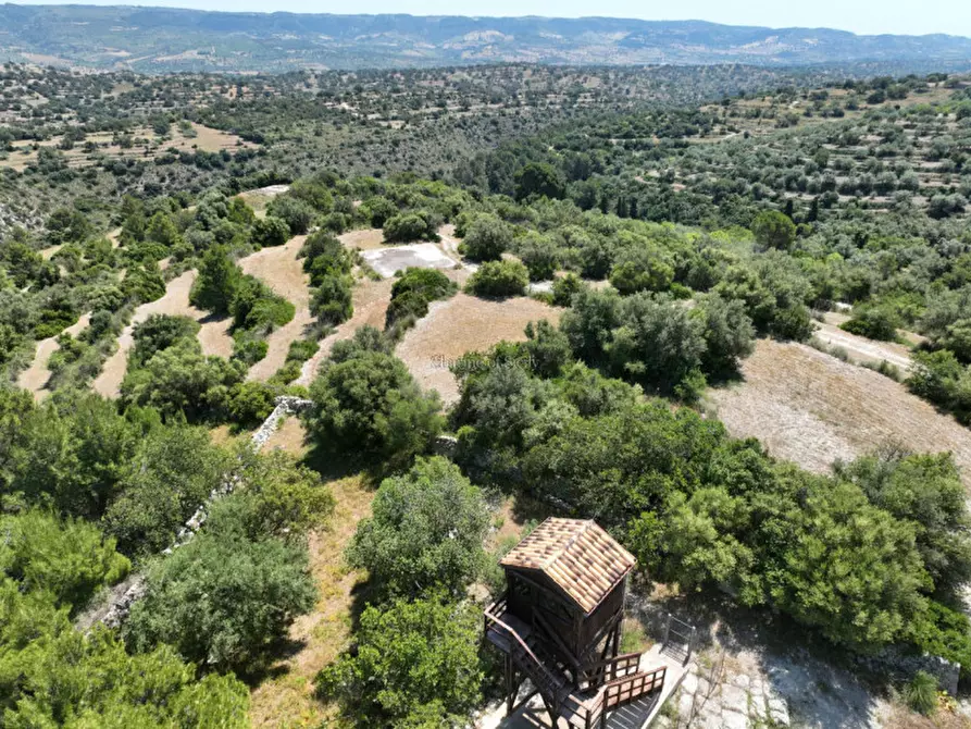Immagine 15 di Terreno in vendita  in Provinciale 79 a Modica
