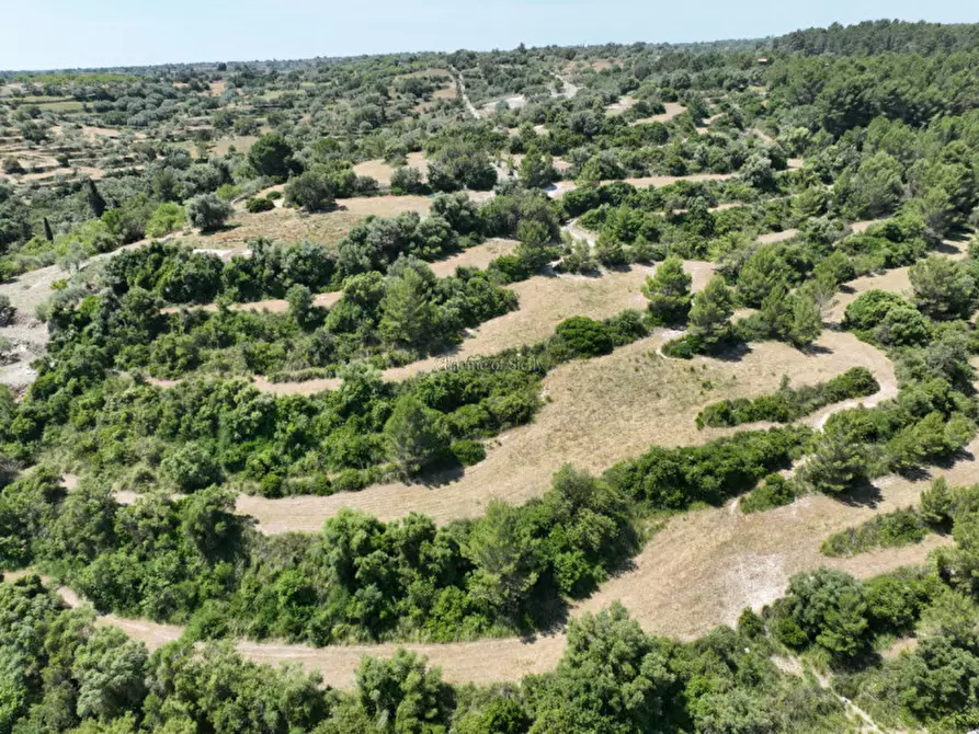 Immagine 16 di Terreno in vendita  in Provinciale 79 a Modica