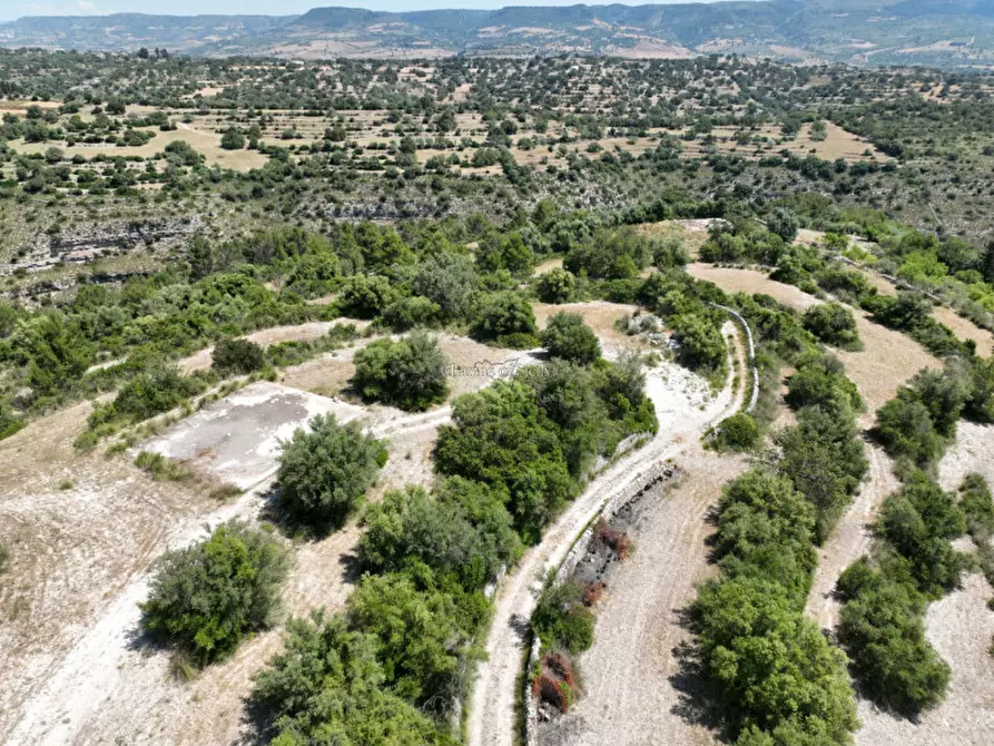 Immagine 17 di Terreno in vendita  in Provinciale 79 a Modica