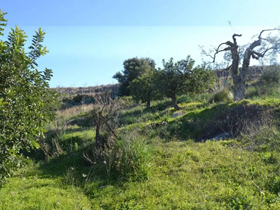 Immagine 7 di Terreno in vendita  in Misilini a Noto