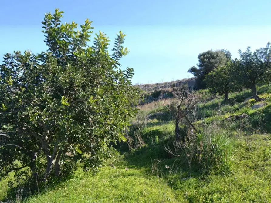Immagine 8 di Terreno in vendita  in Misilini a Noto