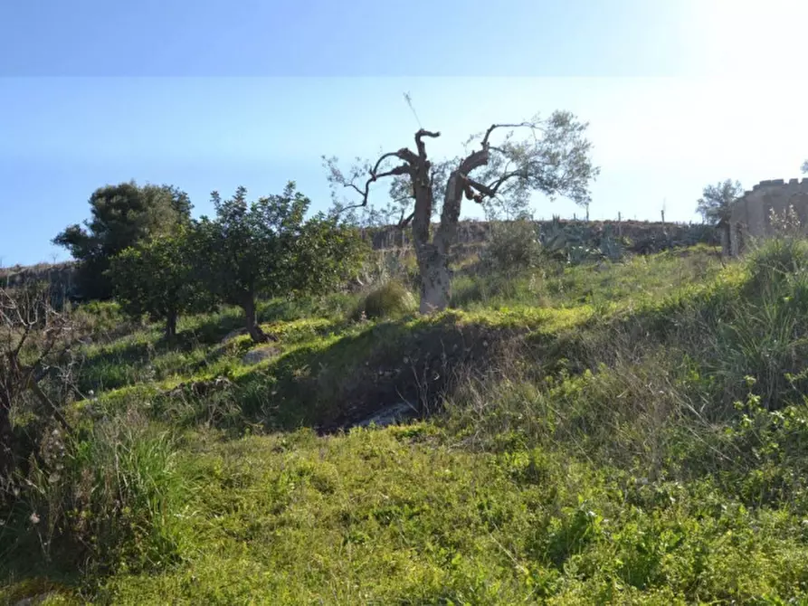 Immagine 9 di Terreno in vendita  in Misilini a Noto