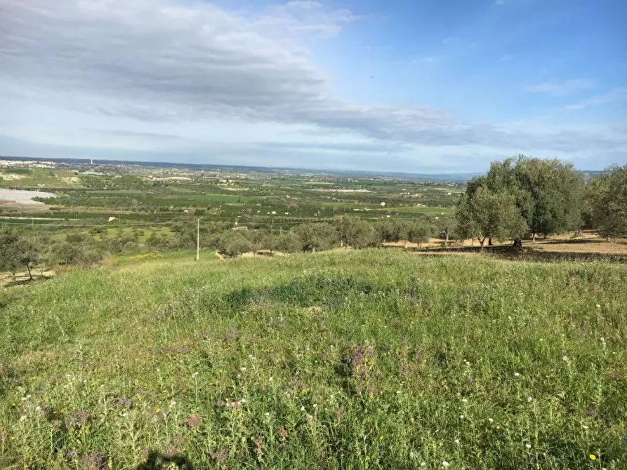 Immagine 10 di Terreno in vendita  in Misilini a Noto