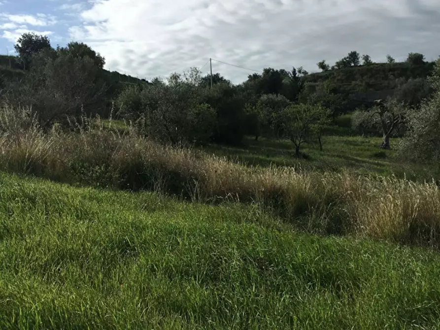 Immagine 11 di Terreno in vendita  in Misilini a Noto