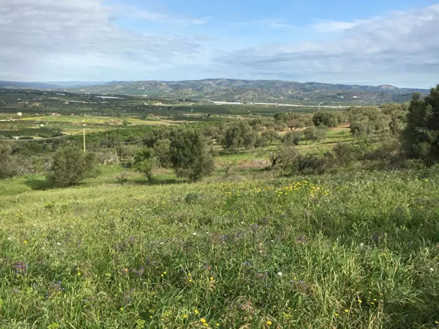 Immagine 14 di Terreno in vendita  in Misilini a Noto