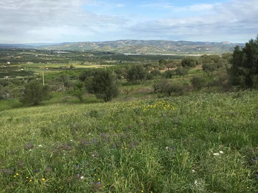 Immagine 15 di Terreno in vendita  in Misilini a Noto