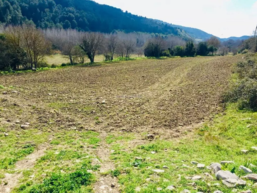 Immagine 19 di Villa in vendita  in Statale 194 a Ragusa