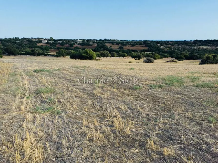 Immagine 12 di Terreno in vendita  in Provinciale 44 a Modica