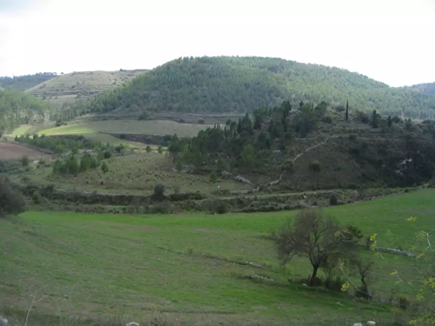 Immagine 9 di Rustico / casale in vendita  in Provinciale 59 a Ragusa
