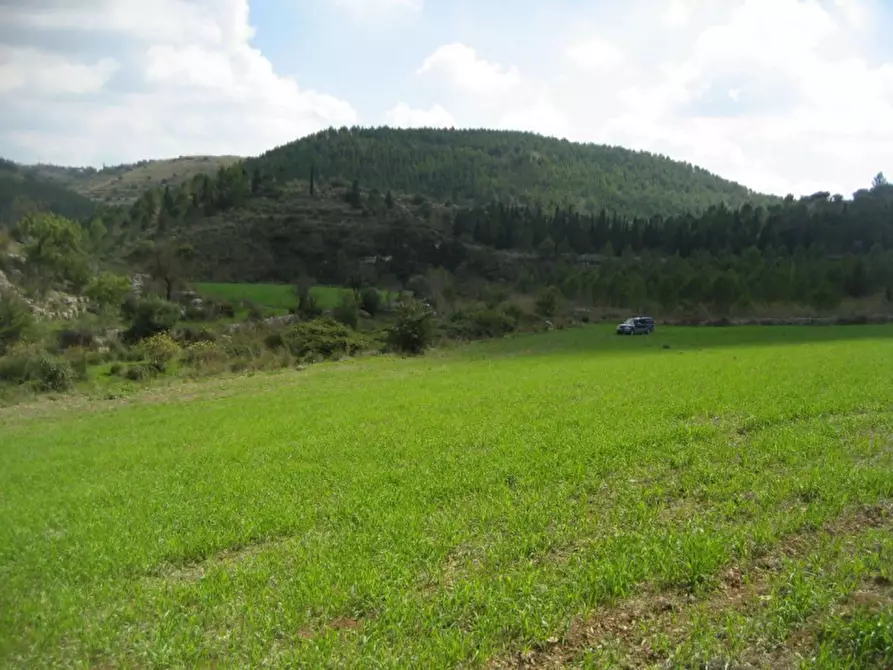 Immagine 13 di Rustico / casale in vendita  in Provinciale 59 a Ragusa