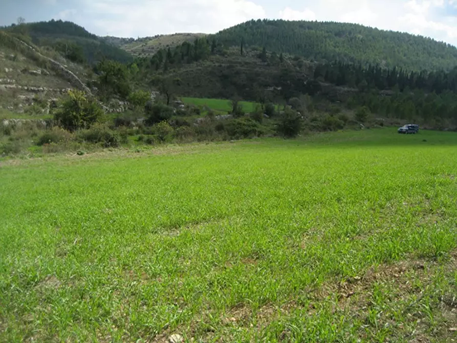 Immagine 16 di Rustico / casale in vendita  in Provinciale 59 a Ragusa