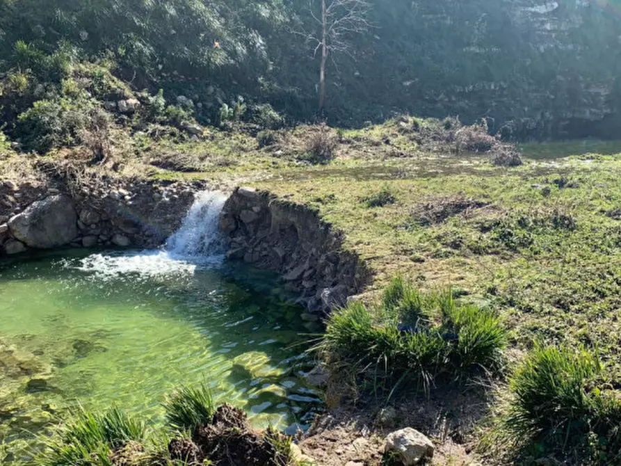 Immagine 19 di Rustico / casale in vendita  in Provinciale 59 a Ragusa