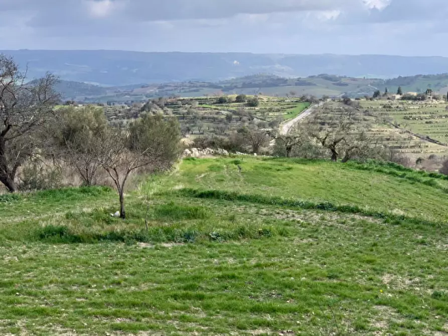 Immagine 2 di Terreno in vendita  in Via Provinciale Modica Bussello Giarratana a Ragusa