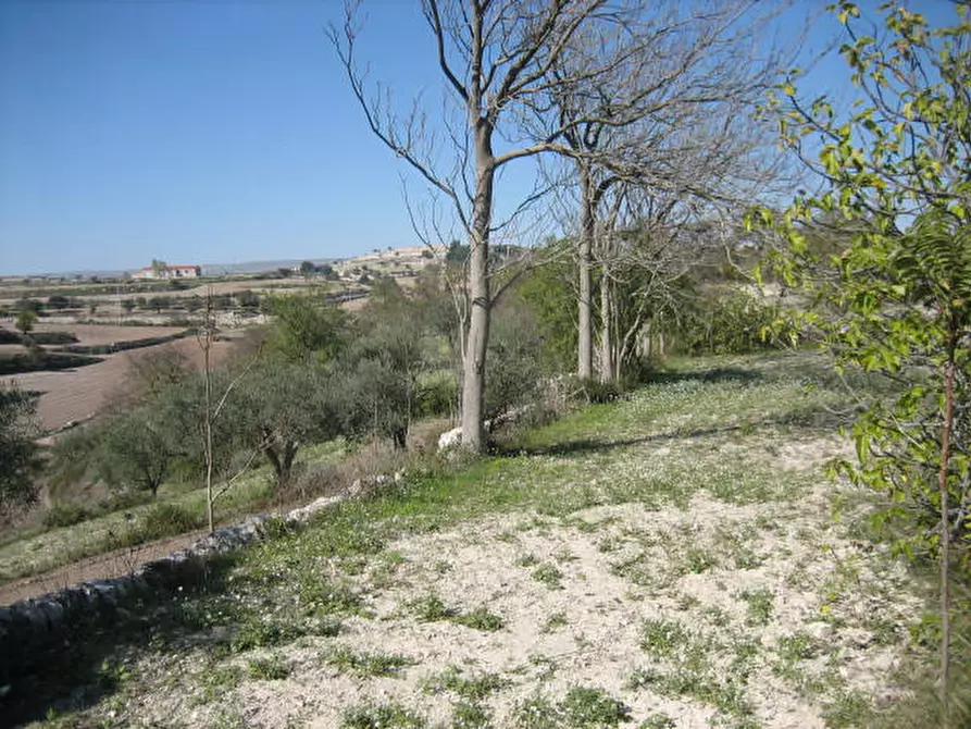 Immagine 3 di Terreno in vendita  in Via Provinciale Modica Bussello Giarratana a Ragusa