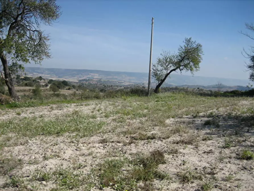 Immagine 5 di Terreno in vendita  in Via Provinciale Modica Bussello Giarratana a Ragusa