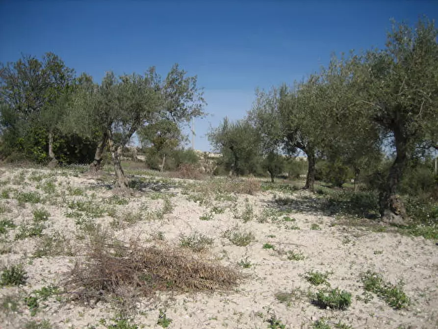 Immagine 6 di Terreno in vendita  in Via Provinciale Modica Bussello Giarratana a Ragusa