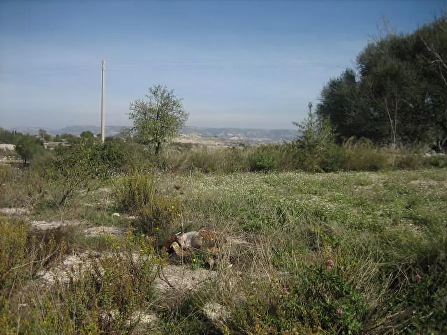 Immagine 7 di Terreno in vendita  in Via Provinciale Modica Bussello Giarratana a Ragusa