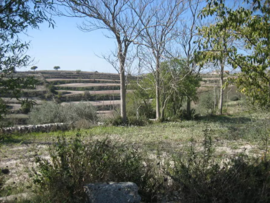Immagine 8 di Terreno in vendita  in Via Provinciale Modica Bussello Giarratana a Ragusa