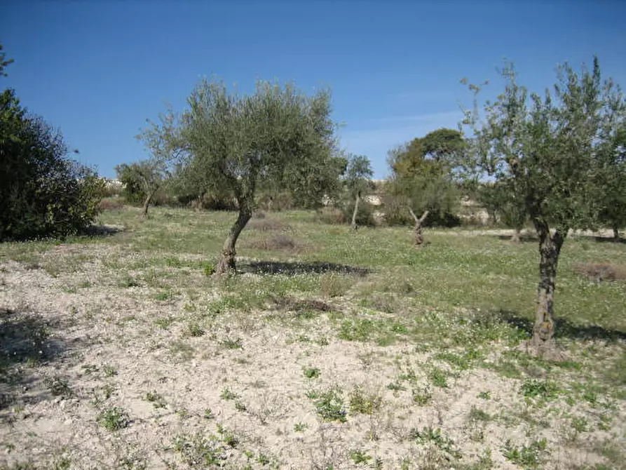 Immagine 9 di Terreno in vendita  in Via Provinciale Modica Bussello Giarratana a Ragusa