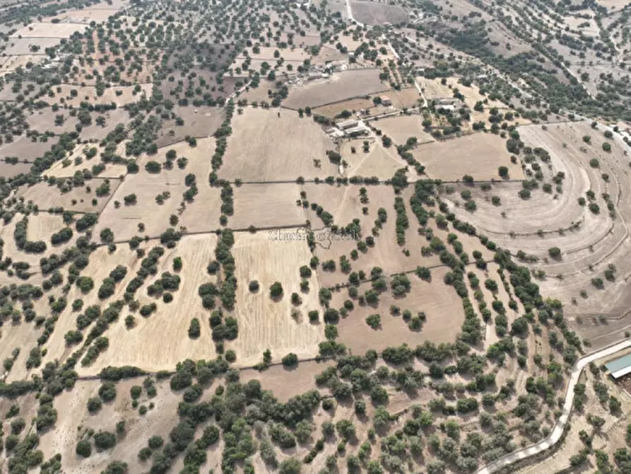 Immagine 32 di Villa in vendita  in Strada Provinciale 17 a Modica
