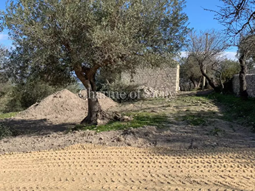 Immagine 14 di Casa indipendente in vendita  in Contrada Margione a Modica