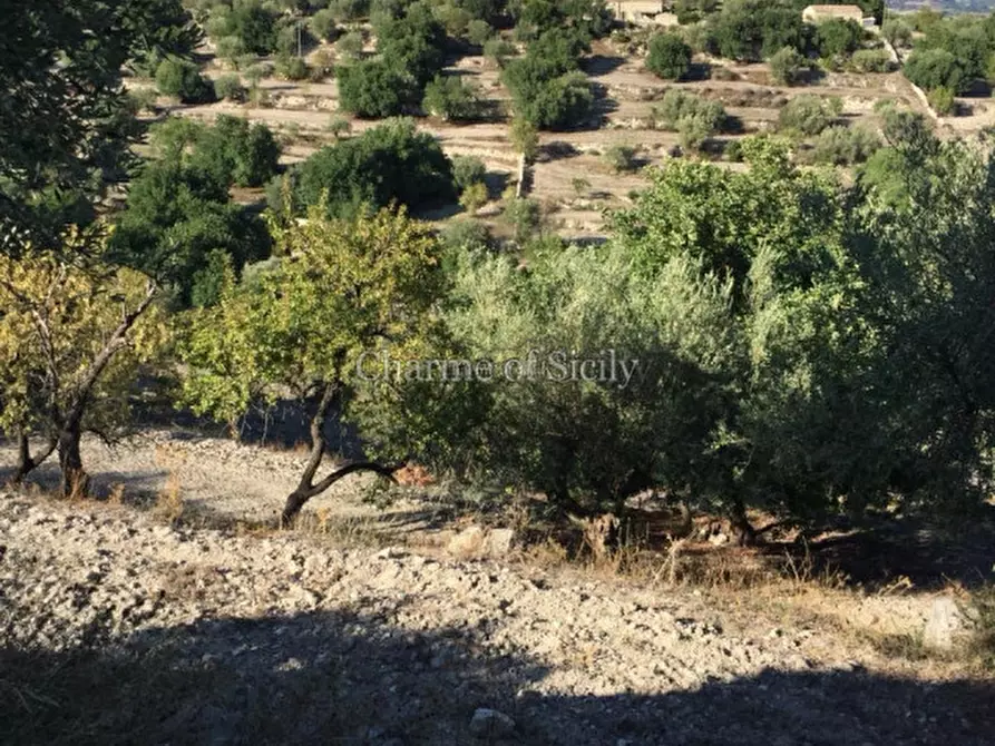 Immagine 19 di Casa indipendente in vendita  in Contrada Margione a Modica