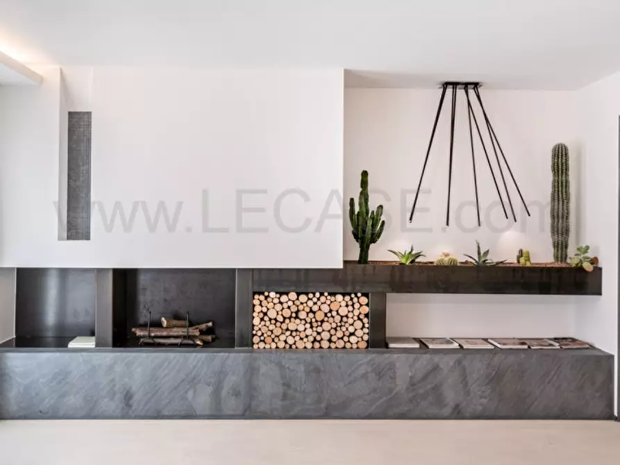 Immagine 44 di Villa in affitto  in via Fratelli Cervi a Forte Dei Marmi