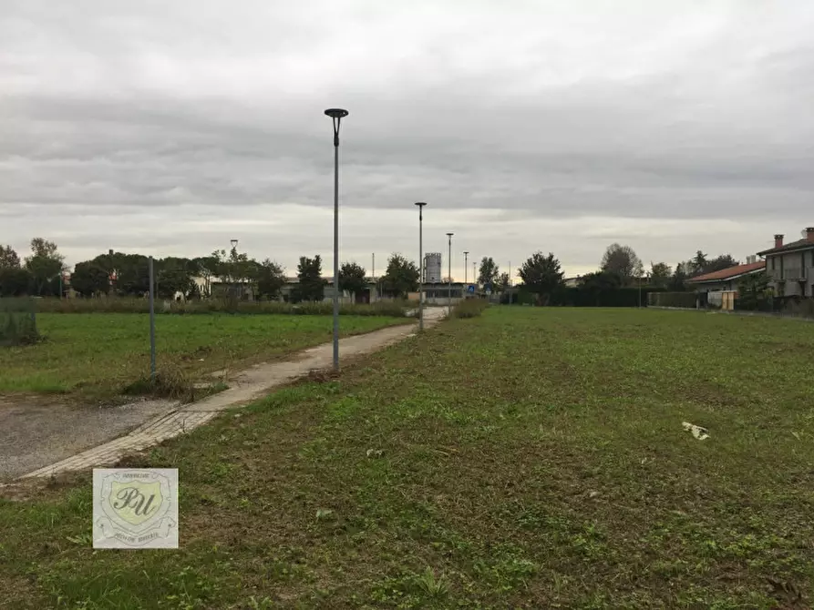 Immagine 2 di Terreno in vendita  in via Nuova a Casale Di Scodosia