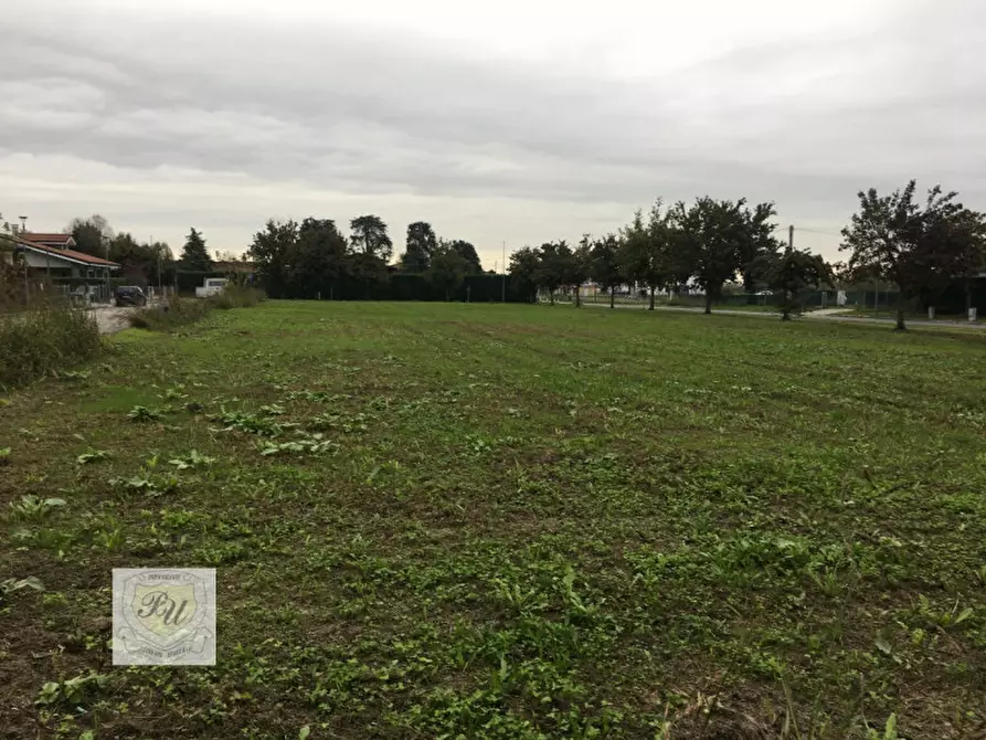 Immagine 3 di Terreno in vendita  in via Nuova a Casale Di Scodosia