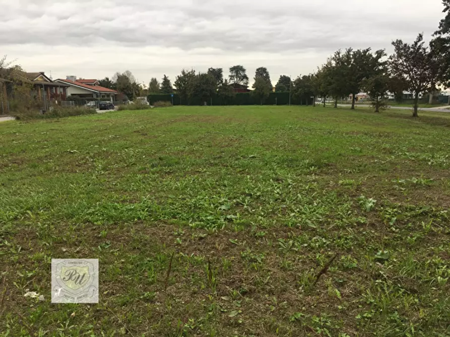 Immagine 4 di Terreno in vendita  in via Nuova a Casale Di Scodosia