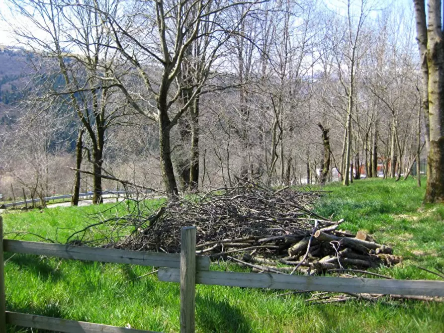 Immagine 25 di Palazzo in vendita  in VIA DOSSO a Roana