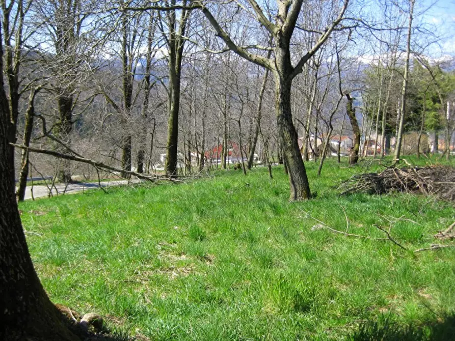 Immagine 30 di Palazzo in vendita  in VIA DOSSO a Roana