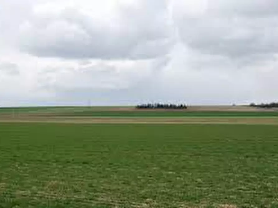 Immagine 1 di Terreno in vendita  in Via Beccara a Masera' Di Padova