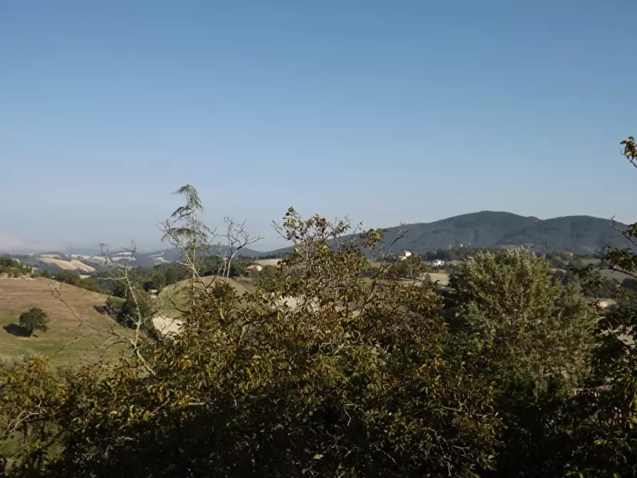 Immagine 44 di Villetta a schiera in vendita  a Arcevia