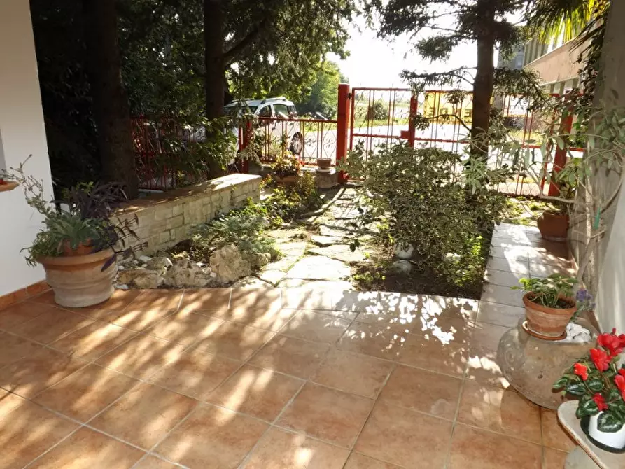 Immagine 46 di Villetta a schiera in vendita  a Arcevia