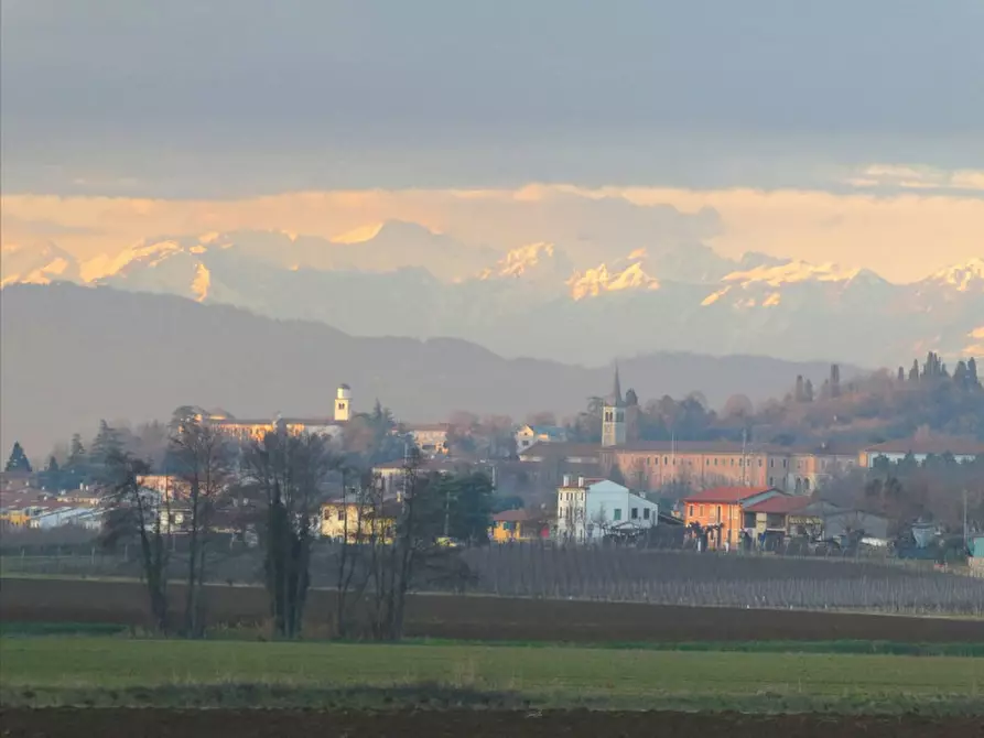 Immagine 5 di Attività commerciale in vendita  a Lonigo