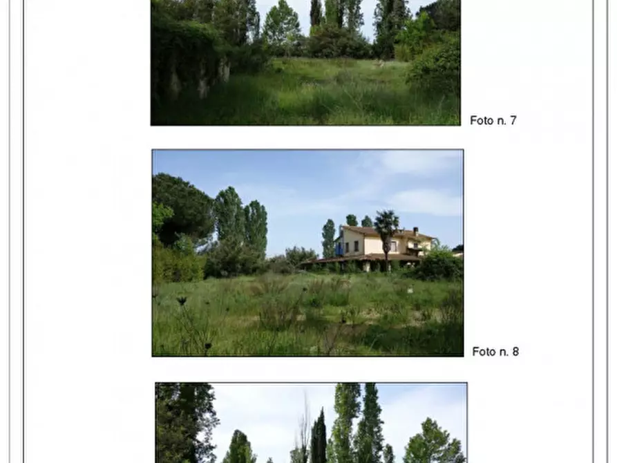 Immagine 3 di Attività commerciale in vendita  in Via Boccea a Roma