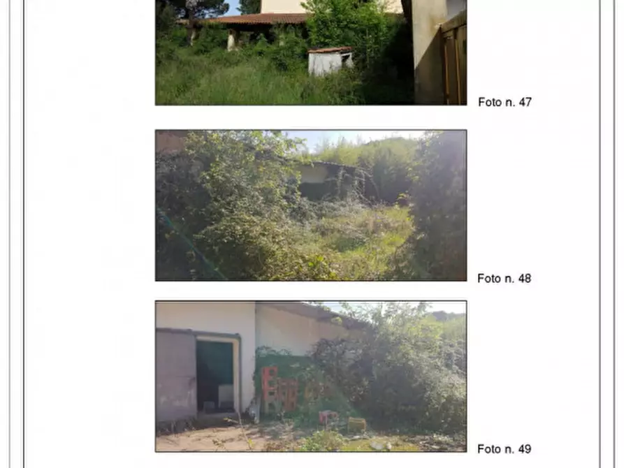 Immagine 13 di Attività commerciale in vendita  in Via Boccea a Roma