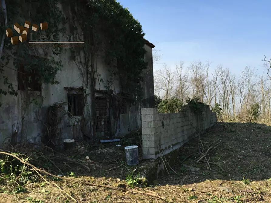 Immagine 21 di Rustico / casale in vendita  a Lonigo