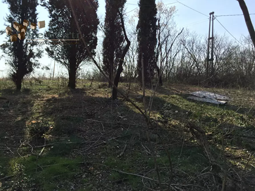 Immagine 22 di Rustico / casale in vendita  a Lonigo