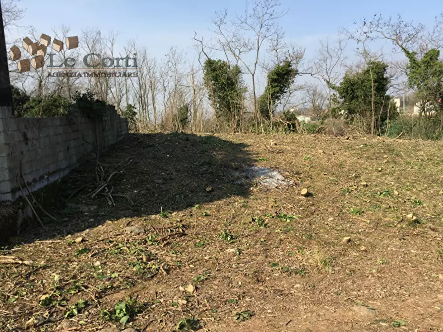 Immagine 23 di Rustico / casale in vendita  a Lonigo