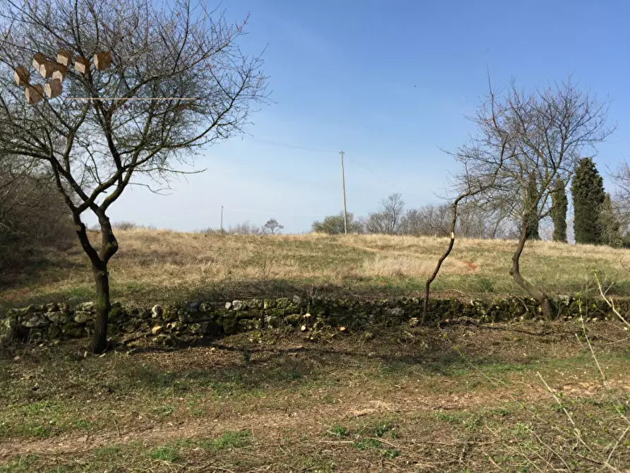 Immagine 24 di Rustico / casale in vendita  a Lonigo