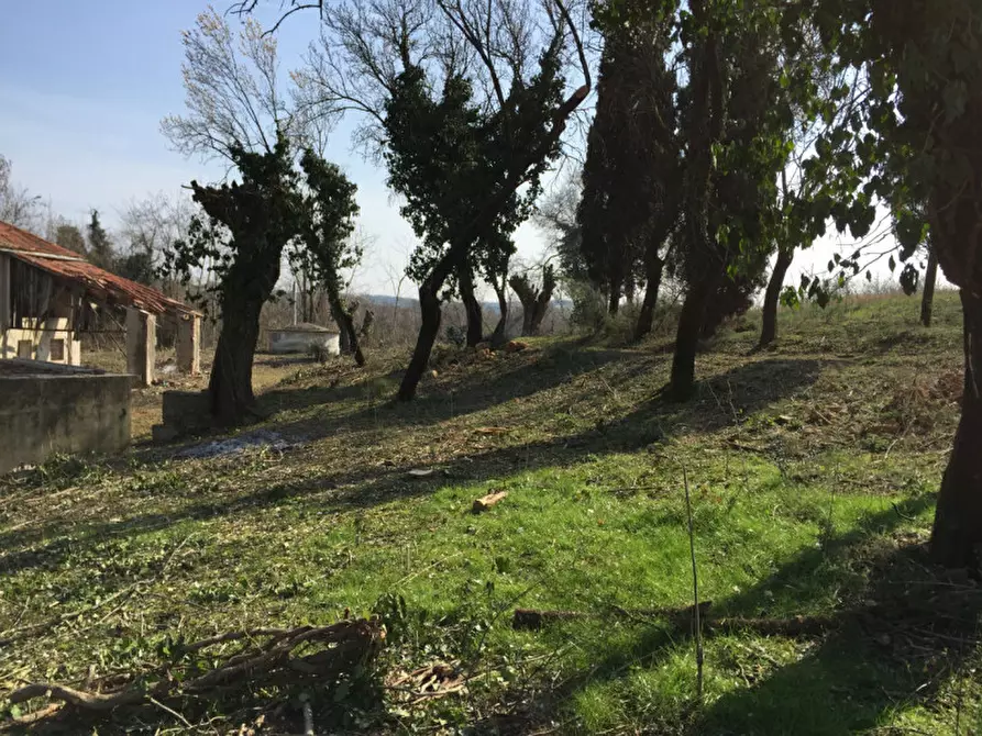 Immagine 27 di Rustico / casale in vendita  a Lonigo
