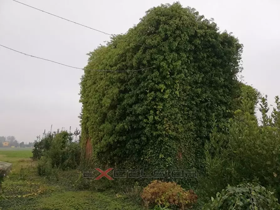 Immagine 3 di Rustico / casale in vendita  in Via G. Matteotti n. 20 - Cavarzere a Cavarzere